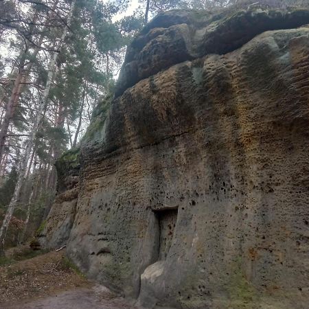 Zelizy Chata U Certovych Hlavヴィラ エクステリア 写真