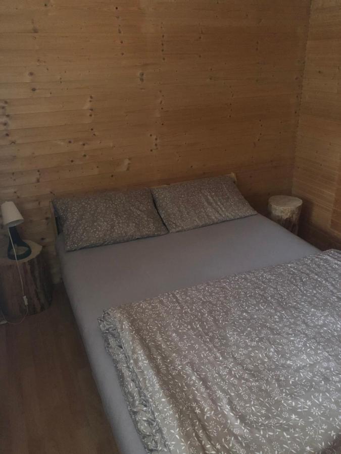 Zelizy Chata U Certovych Hlavヴィラ エクステリア 写真