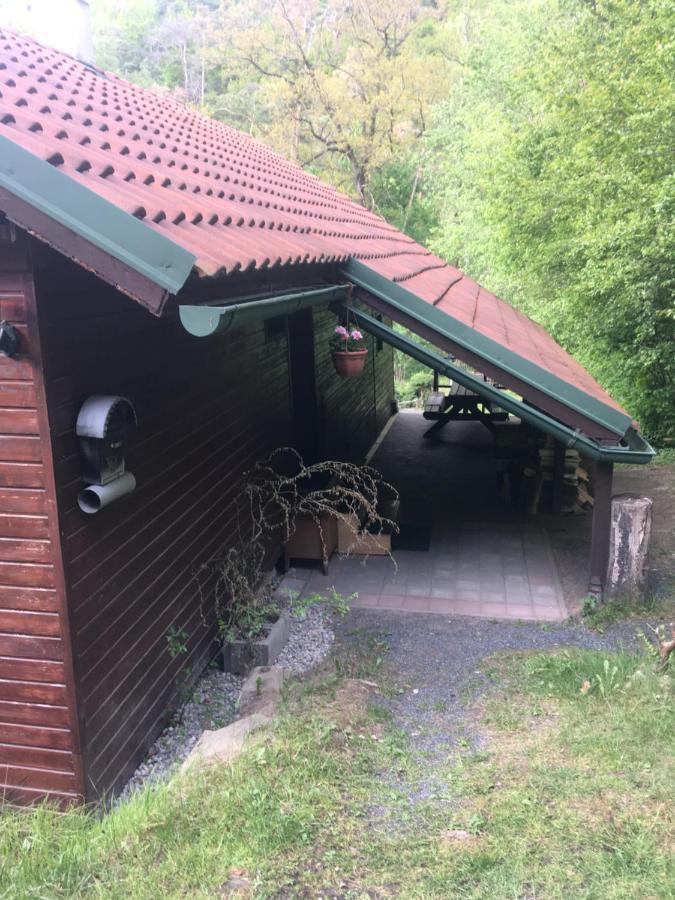 Zelizy Chata U Certovych Hlavヴィラ エクステリア 写真